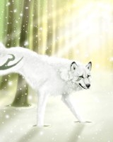 /album/secret-singing-wolves/ef0a9f1fac-24106956-o2-kopie-2-jpg/